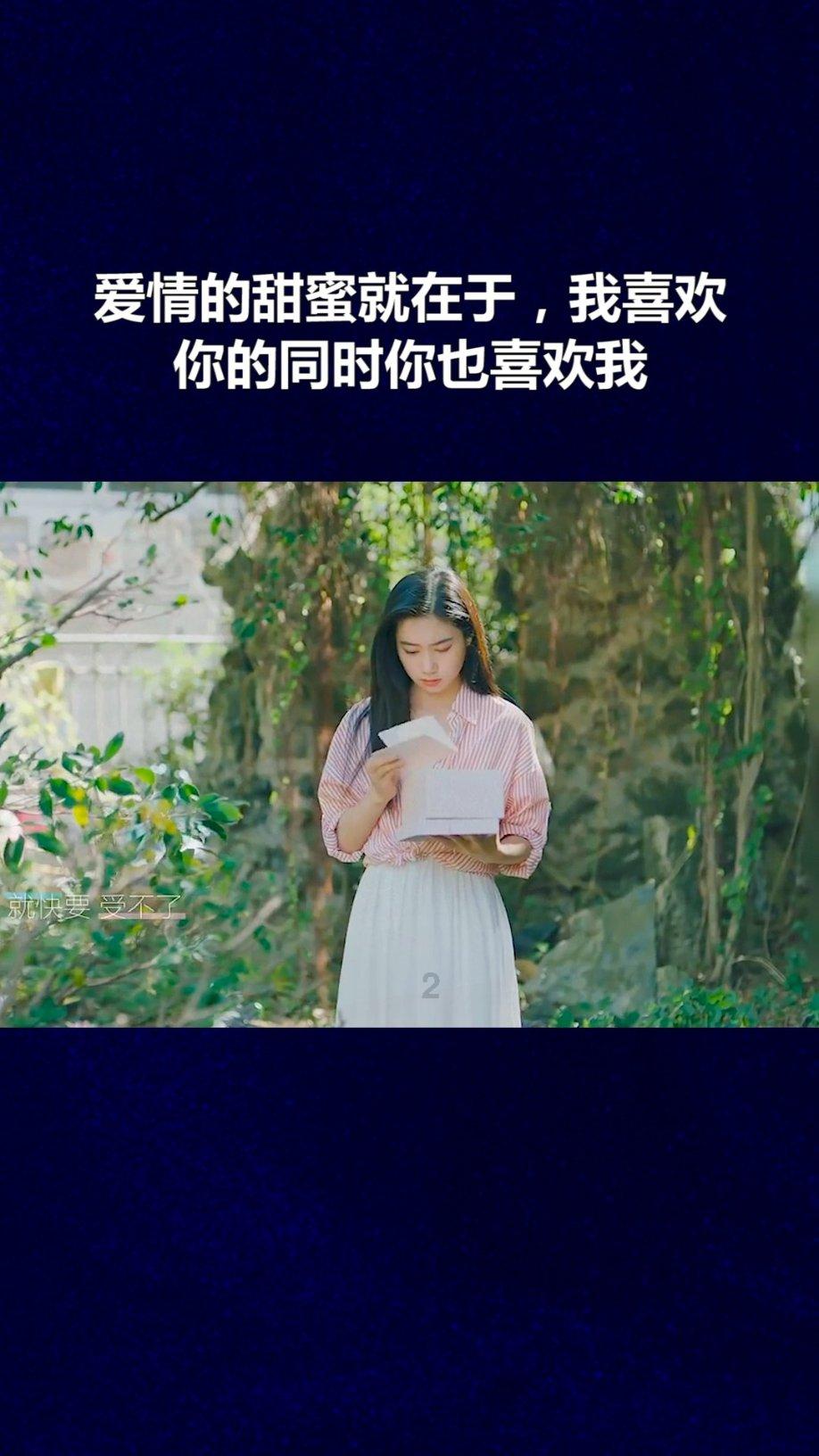 猫头鹰森林逃生